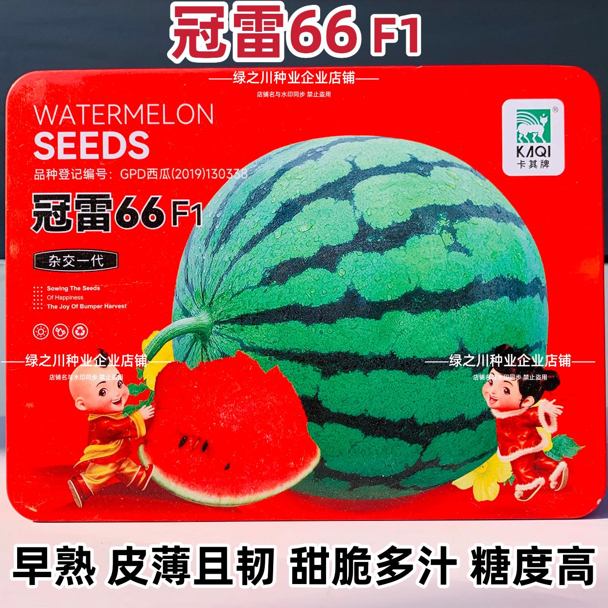 冠雷66西瓜种子早熟糖度高甜脆多汁西瓜种籽皮薄韧蜡粉浓特甜西瓜
