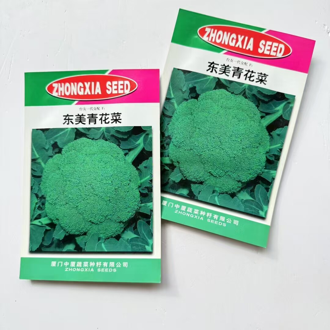 东美青花菜种子中早生花蕾细小西兰花种籽春秋花椰菜蔬菜种子抗病