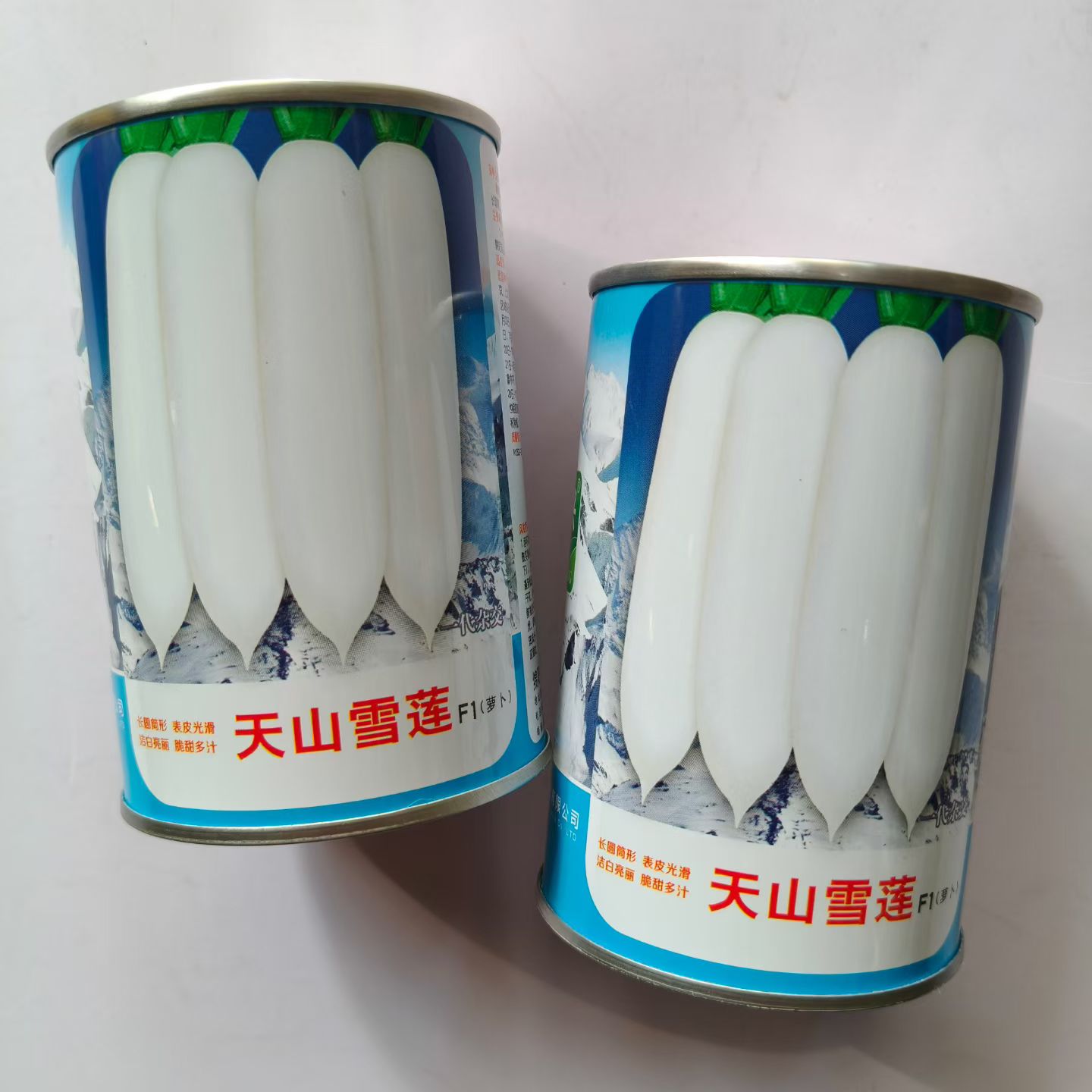 特大白萝卜种子整齐肉质密糠心晚