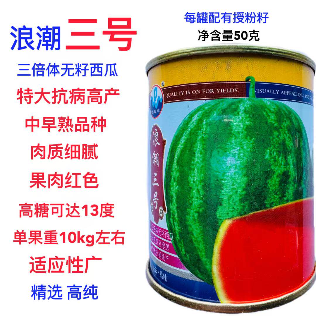 浪潮三号无籽西瓜种子花皮红壤无籽瓜种籽抗病高产耐重茬春播西瓜
