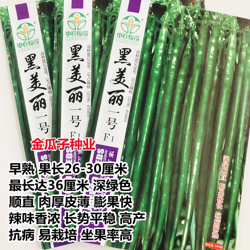 黑美丽黑线椒种籽夏秋季超长线椒