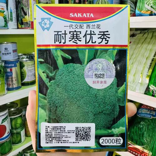 耐寒优秀西兰花种子2000粒青花菜西蓝花籽花椰菜蔬菜种子大田蔬菜