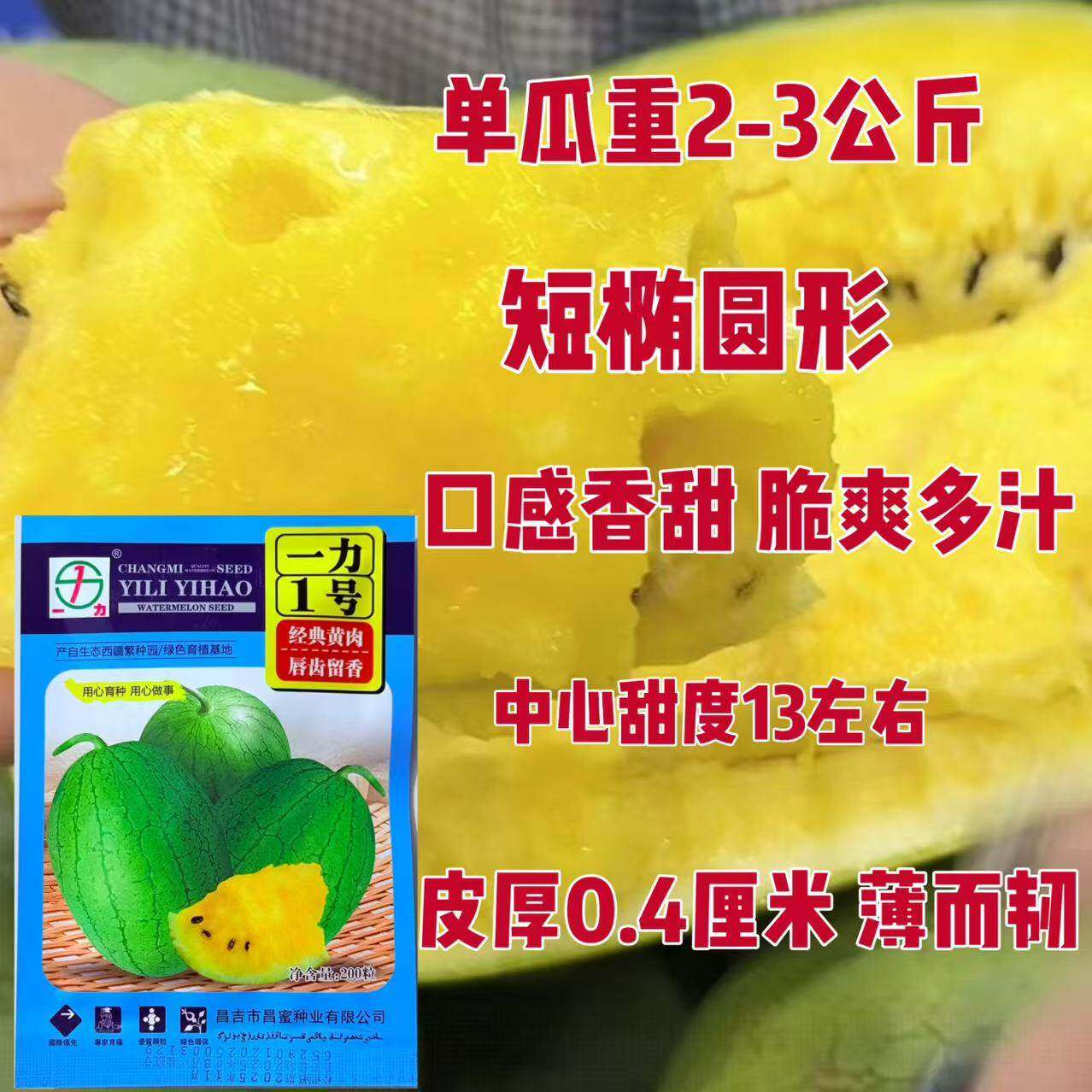 一力1号西瓜种子 绿皮黄肉 早熟脆甜多汁 迷你礼品西瓜种籽