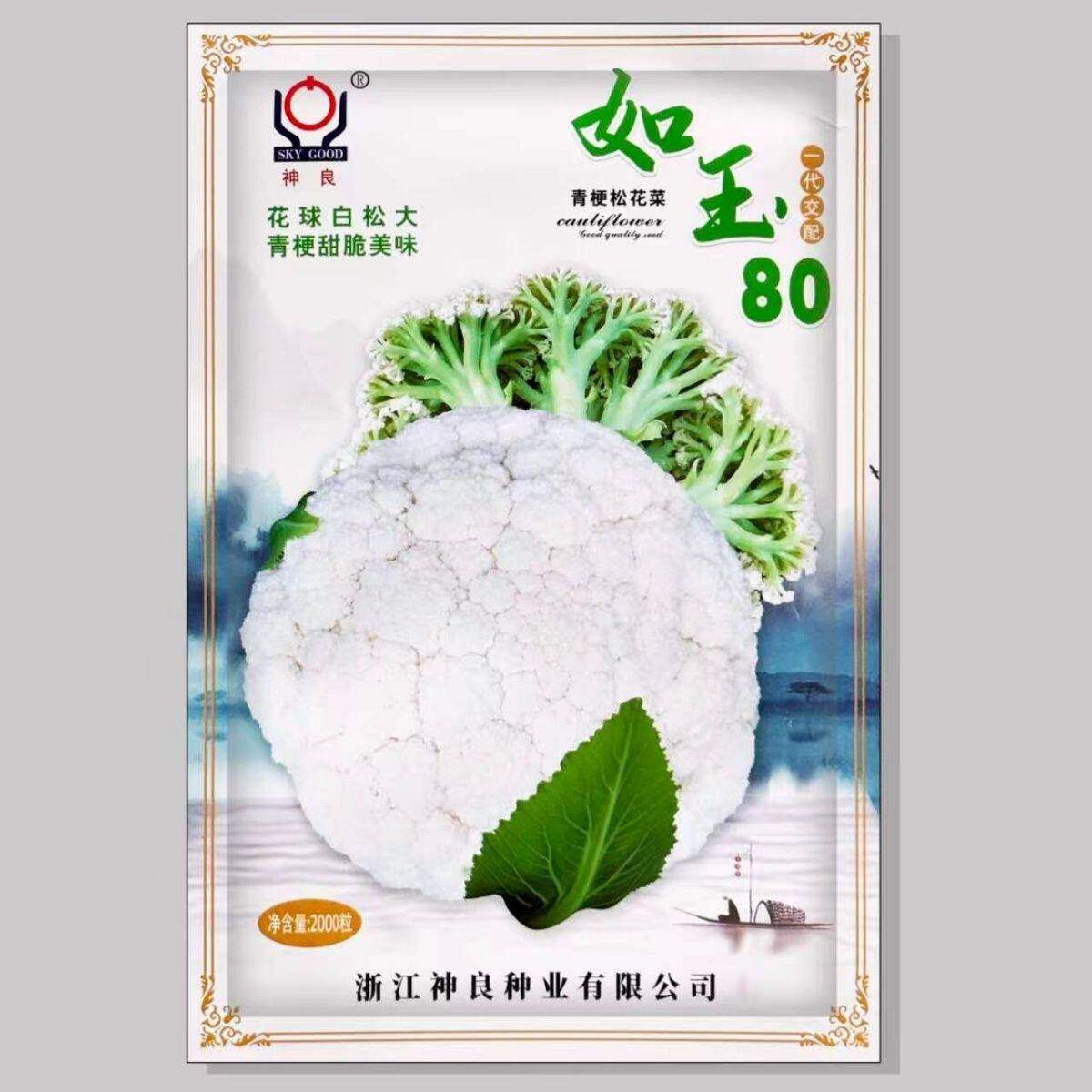 如玉80青梗松花菜种子一代杂交中熟花球白松大青梗甜脆美味