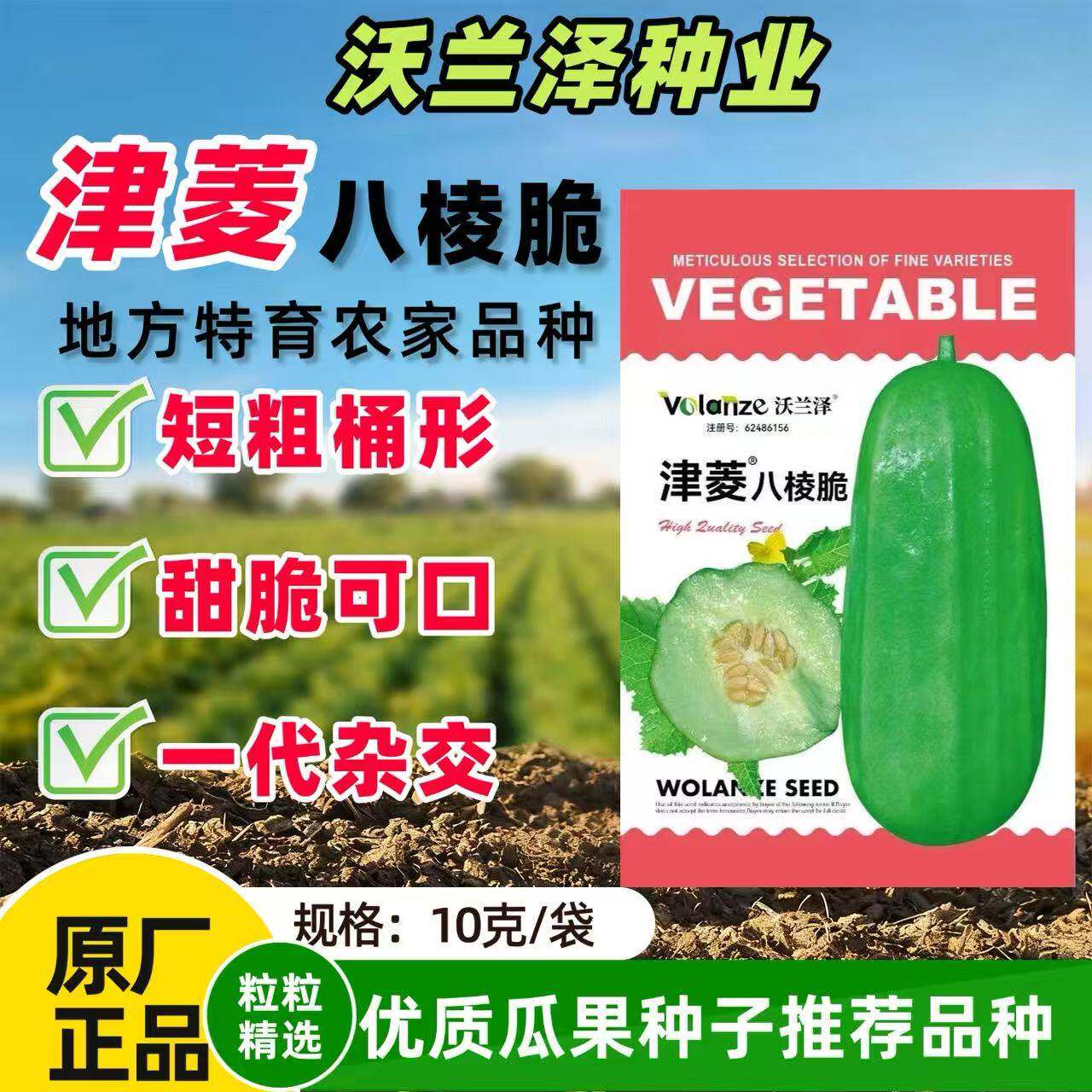 津菱八棱脆菜瓜水果脆瓜甜瓜种子黄河脆一窝农家无糖味微酥脆早熟