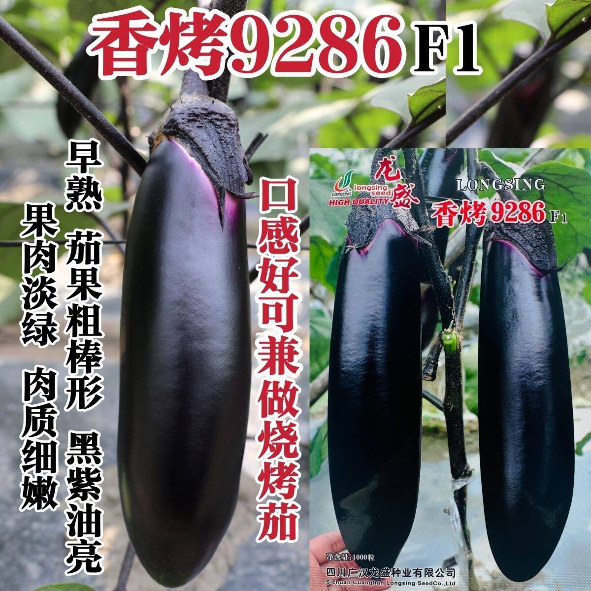 烧烤茄种子香烤9286茄子种子黑紫油亮棒茄种籽果肉淡绿春秋季