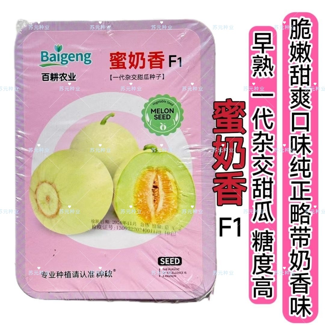蜜奶香甜瓜种籽早熟糖度高水果种子脆嫩甜爽且略带奶香味甜瓜种子