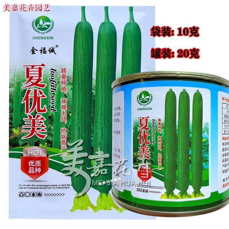 夏优美早熟强雌长丝瓜种子生长快瓜条顺直瓜翠绿色肉质硬耐热耐寒