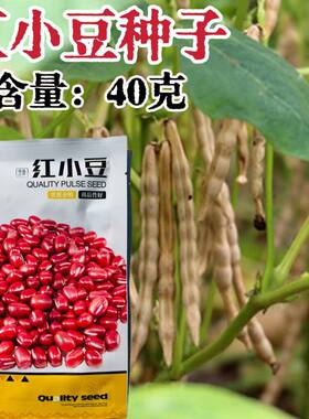 红小豆种子非转基因农家品种红豆种籽春播菜园小红豆杂粮豆子种孑
