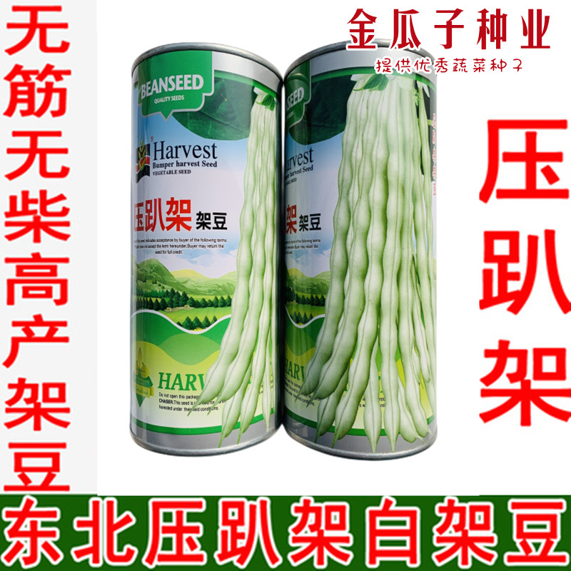 压趴架架豆高产早熟无筋口感好