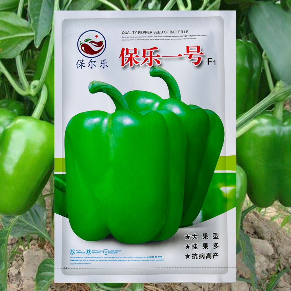 青椒灯笼,青椒(第8页)_大山谷图库