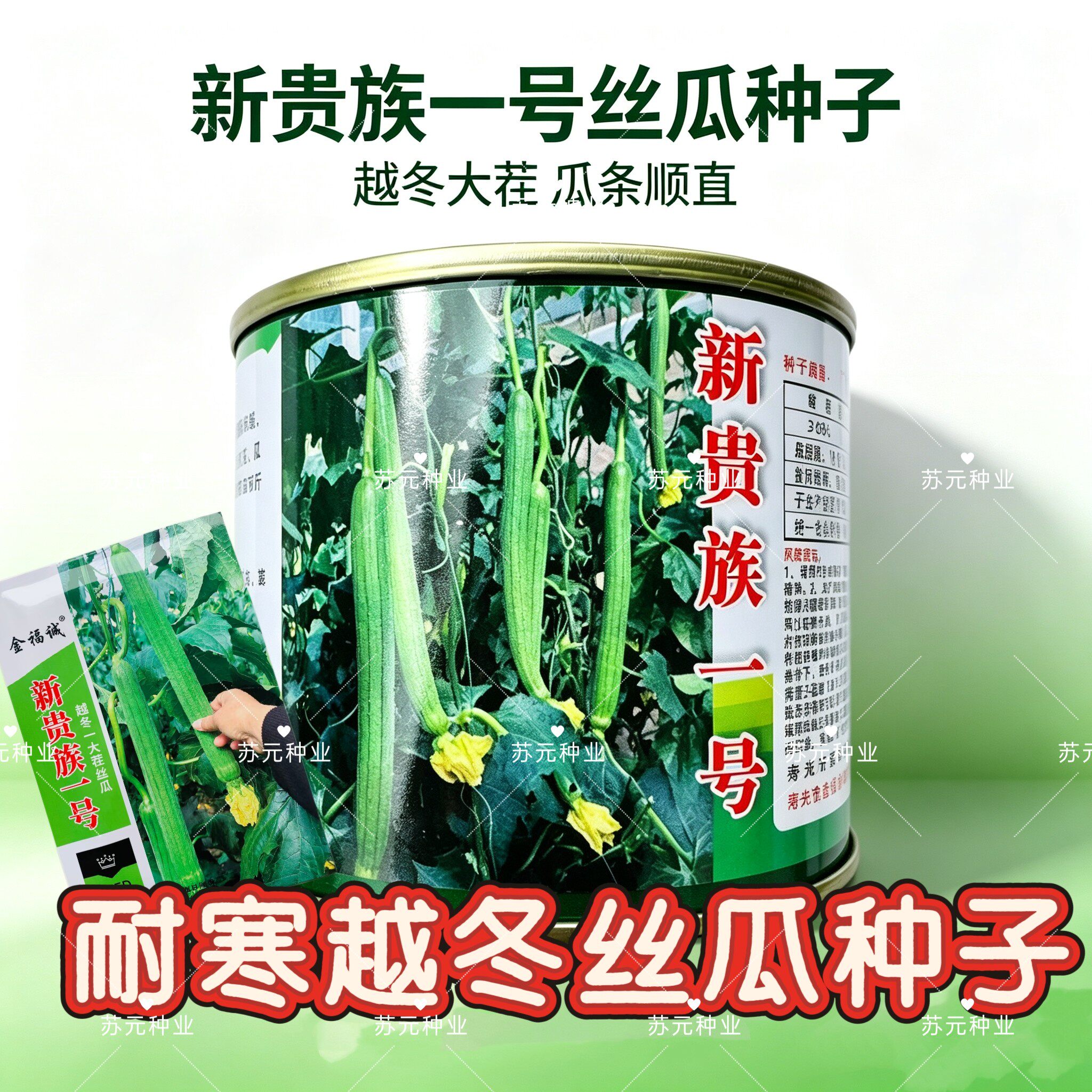新贵族一号长棒丝瓜种子越冬一大茬丝瓜种子肉厚质硬心腔小产量高