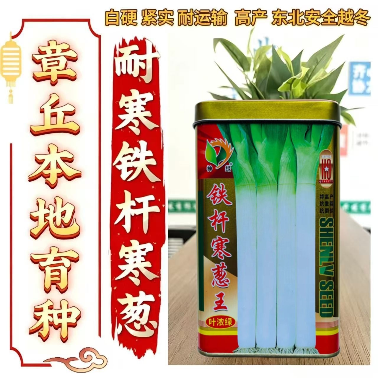 铁杆寒葱王大葱种子章丘中华巨葱王大香葱耐热抗寒春季秋冬四季播