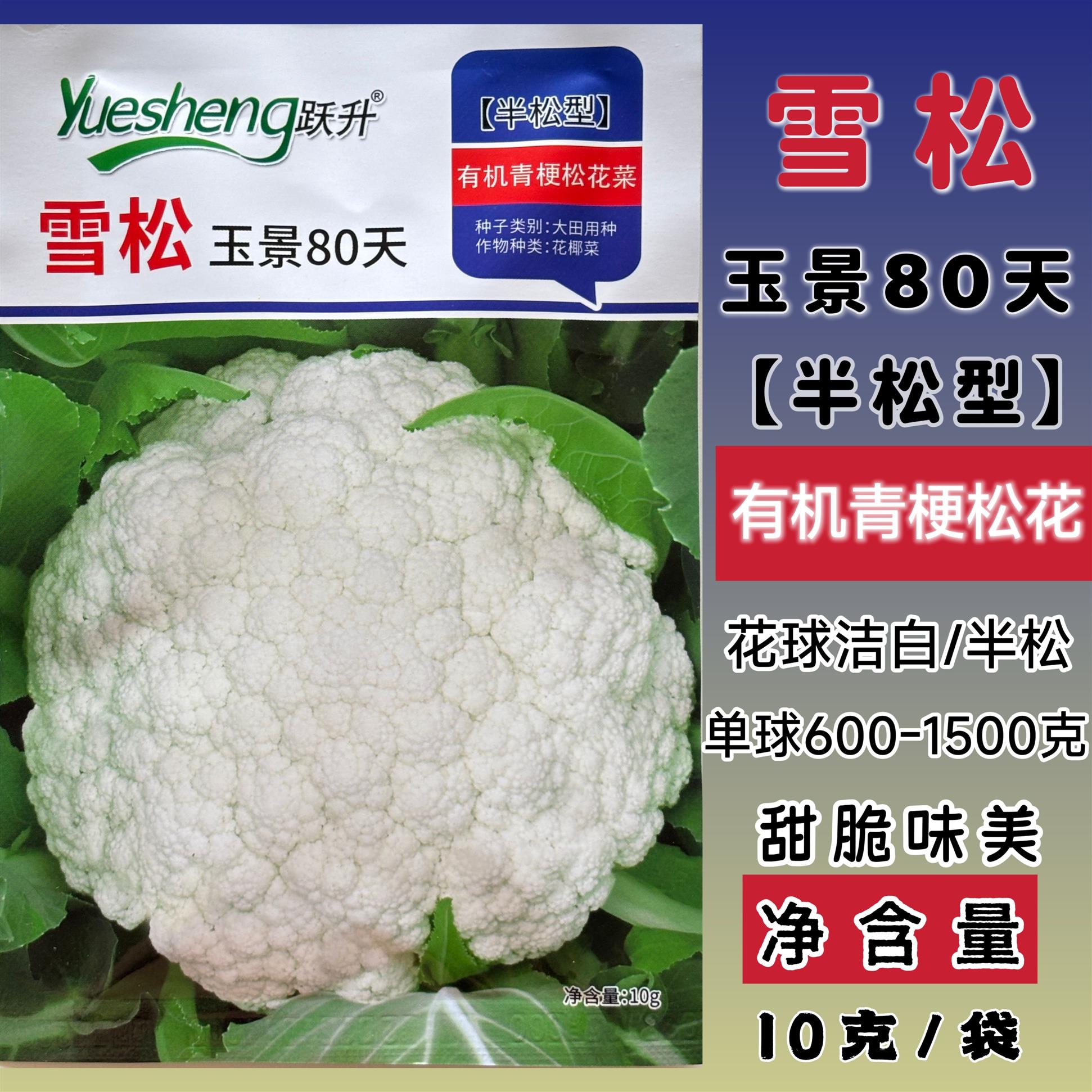 雪松玉景80天松花菜种子花球洁白甜脆味美半松青梗淡绿色松花菜