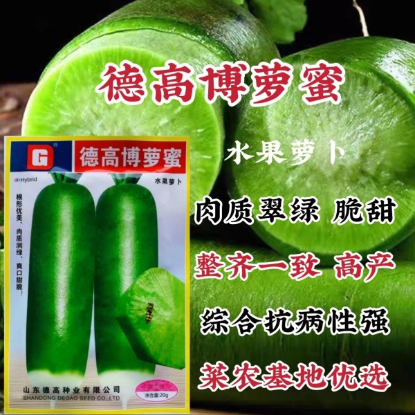 德高萝卜种子博萝蜜水果萝卜种籽口感脆甜多汁高产抗绿肉青皮秋播