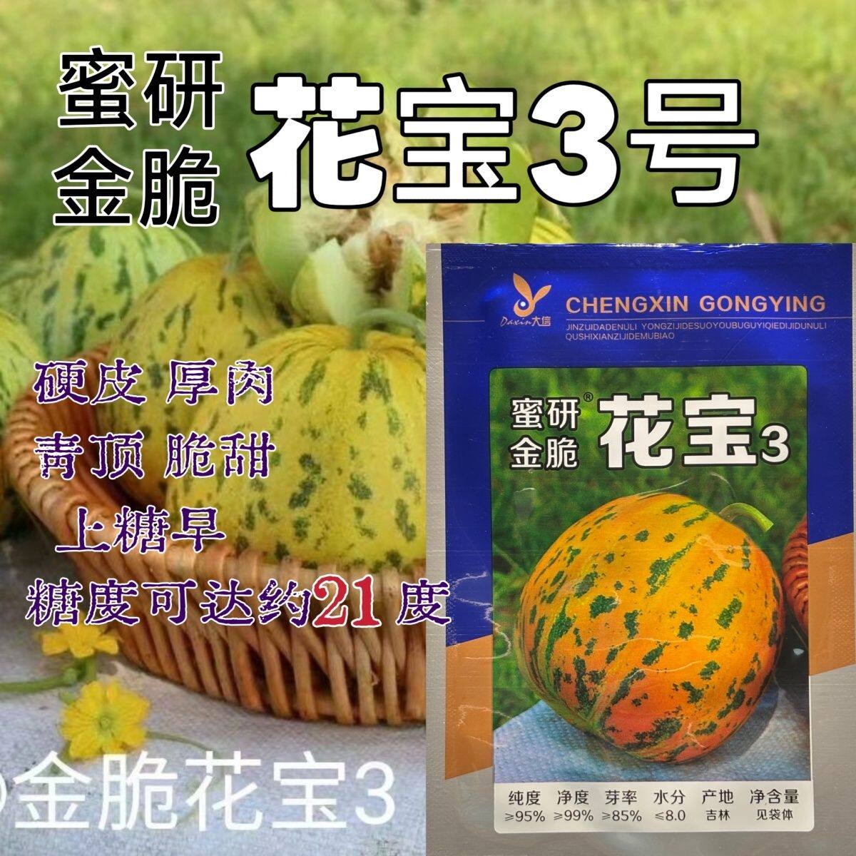 花宝3号甜瓜种子青皮豹纹花皮豹点金黄大果甜香纯正品种原装粒