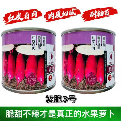 紫脆3号萝卜种子红皮白肉肉质细腻口感脆甜大田秋播大红袍萝卜籽
