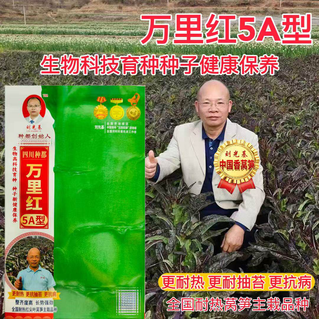 种都万里红5A型红尖叶莴笋种子皮浅绿肉翠绿更耐热更抗抽苔抗病孑