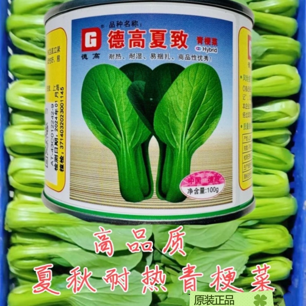 德高夏致青梗菜种子上海青菜夏季耐热小白菜青油菜种孑四季播正宗