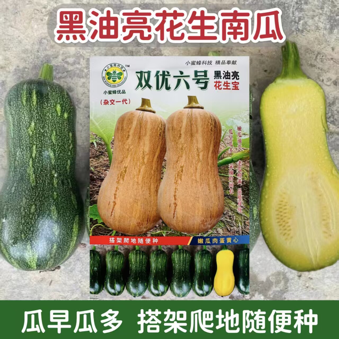 双优六号早熟南瓜种子黑油亮花生宝春播农家菜园丰产嫩老南瓜种籽