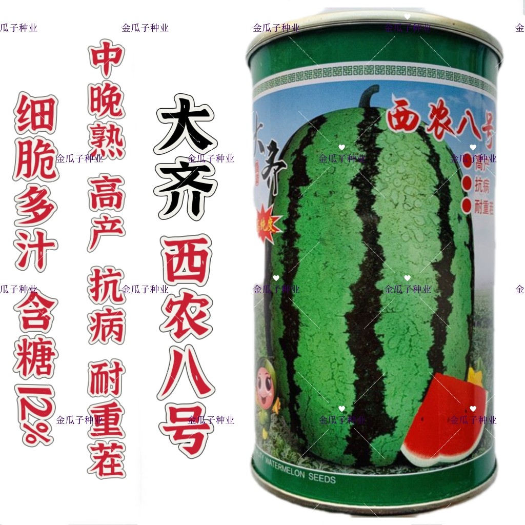 大齐西农八号西瓜种子椭圆形条纹西瓜种籽耐重茬抗病大田专用高产