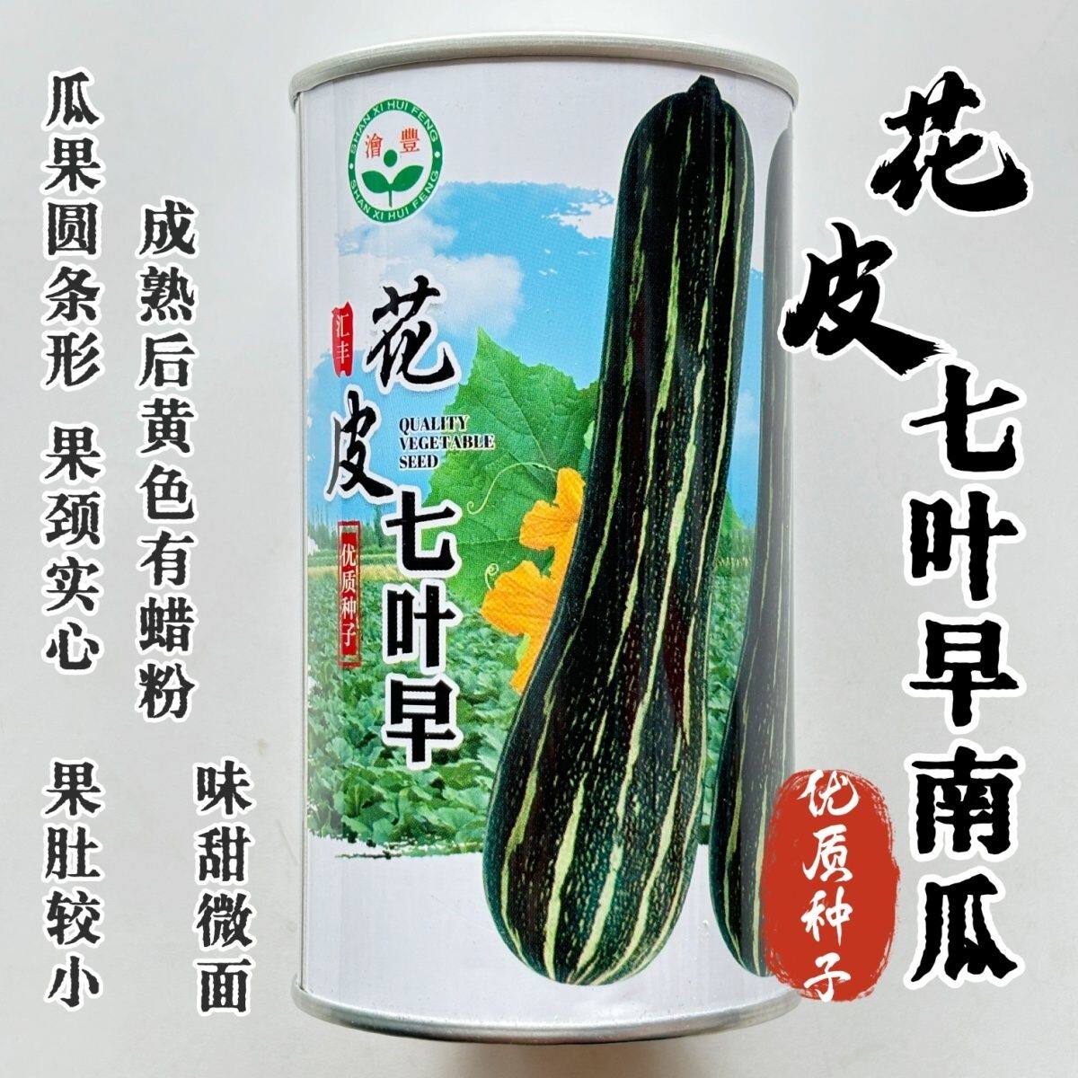 花皮七叶早南瓜种子早熟高产农家大田黑皮南瓜种子味甜微面南瓜籽