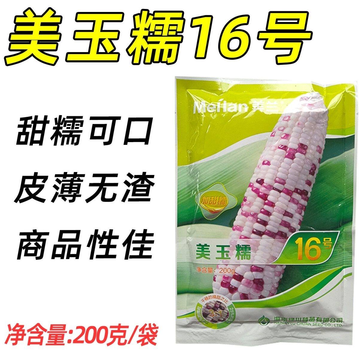 美兰美玉糯16号彩甜糯玉米种子加甜糯花玉米种子皮薄无渣花玉米种