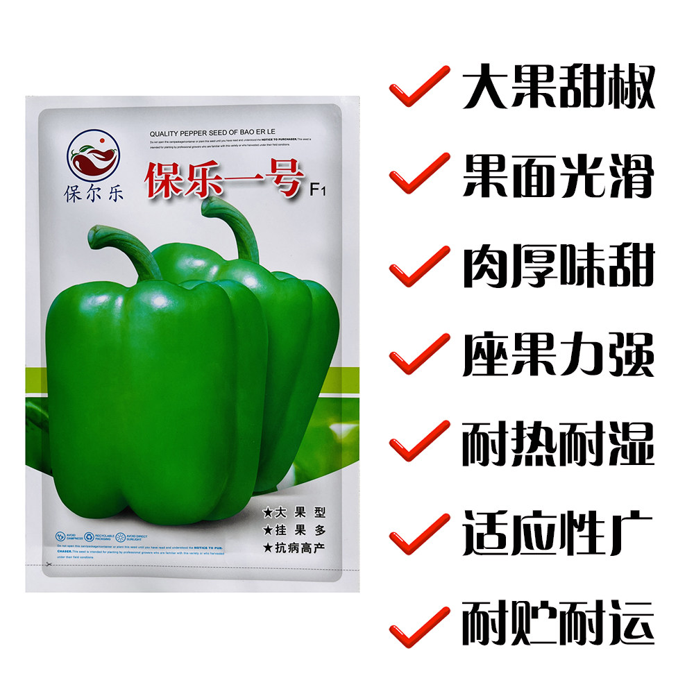 保乐一号特大甜椒种子大青椒中晚熟灯笼椒菜椒甜椒籽蔬菜种子