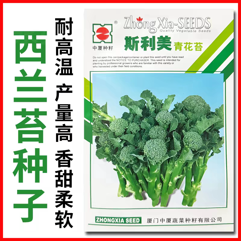 科力玛青花苔种子 早熟一代交配易栽培分枝多 产量高秋季播种