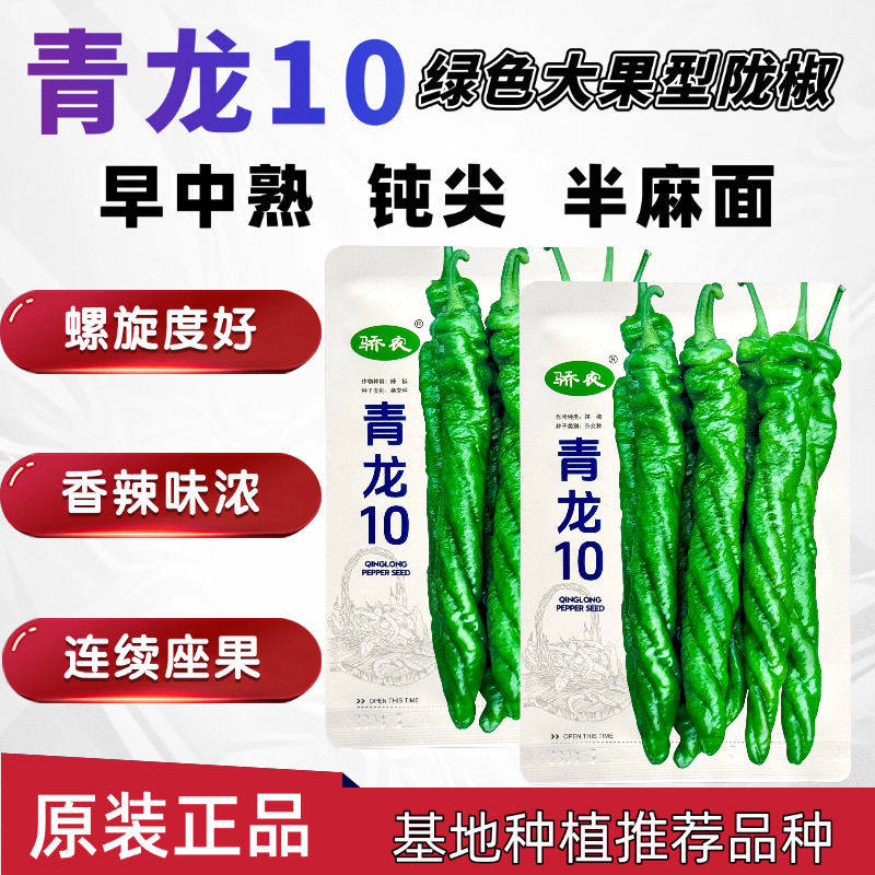 青龙10无限生长绿色大果型陇椒种子早中熟半麻面钝尖螺丝辣椒种籽