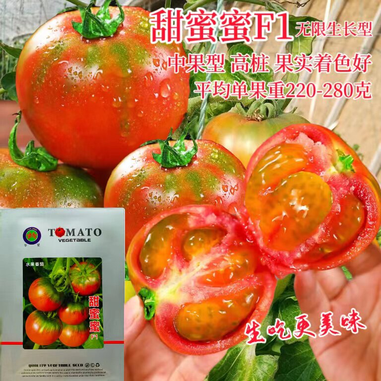 甜蜜蜜草莓番茄种子无限生长型高桩绿肩西红柿种籽丹东铁皮柿子孑