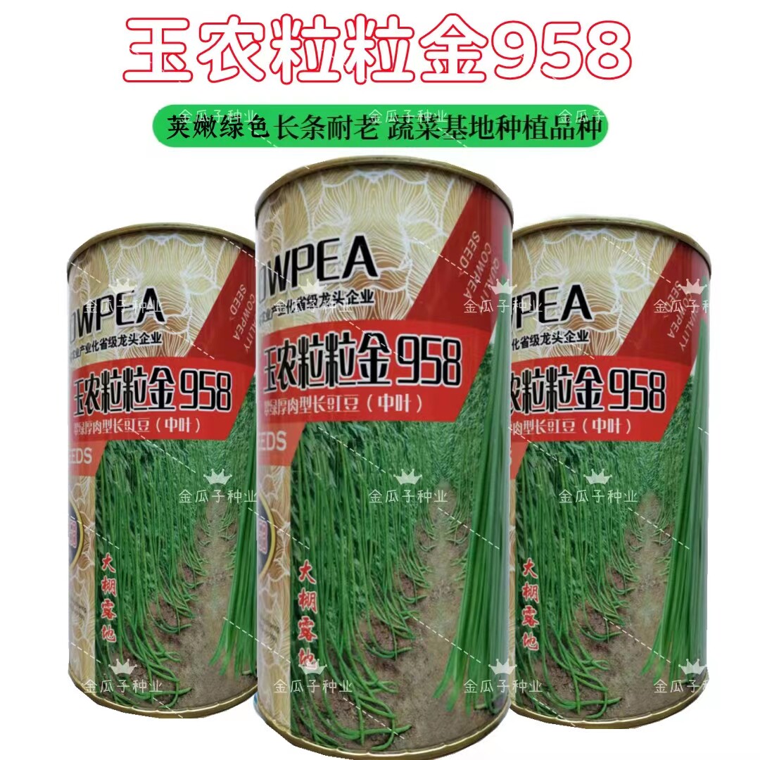 玉农粒粒金958豇豆翠绿耐热肉厚