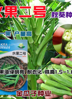 高产水果黄秋葵种子红秋葵春秋季四季易播种农家庭院蔬菜水果种籽