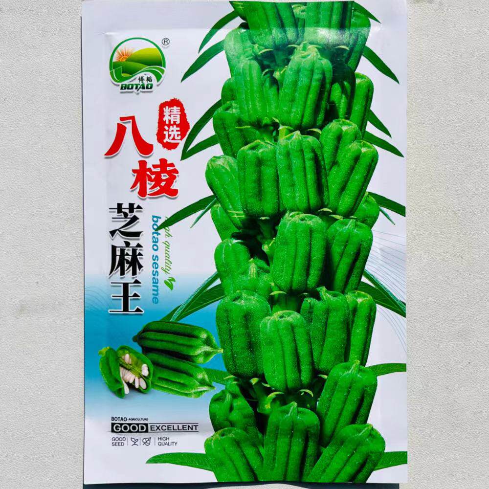 精选八棱芝麻王白芝麻种子优质高产抗病五谷杂粮商品性佳春夏播