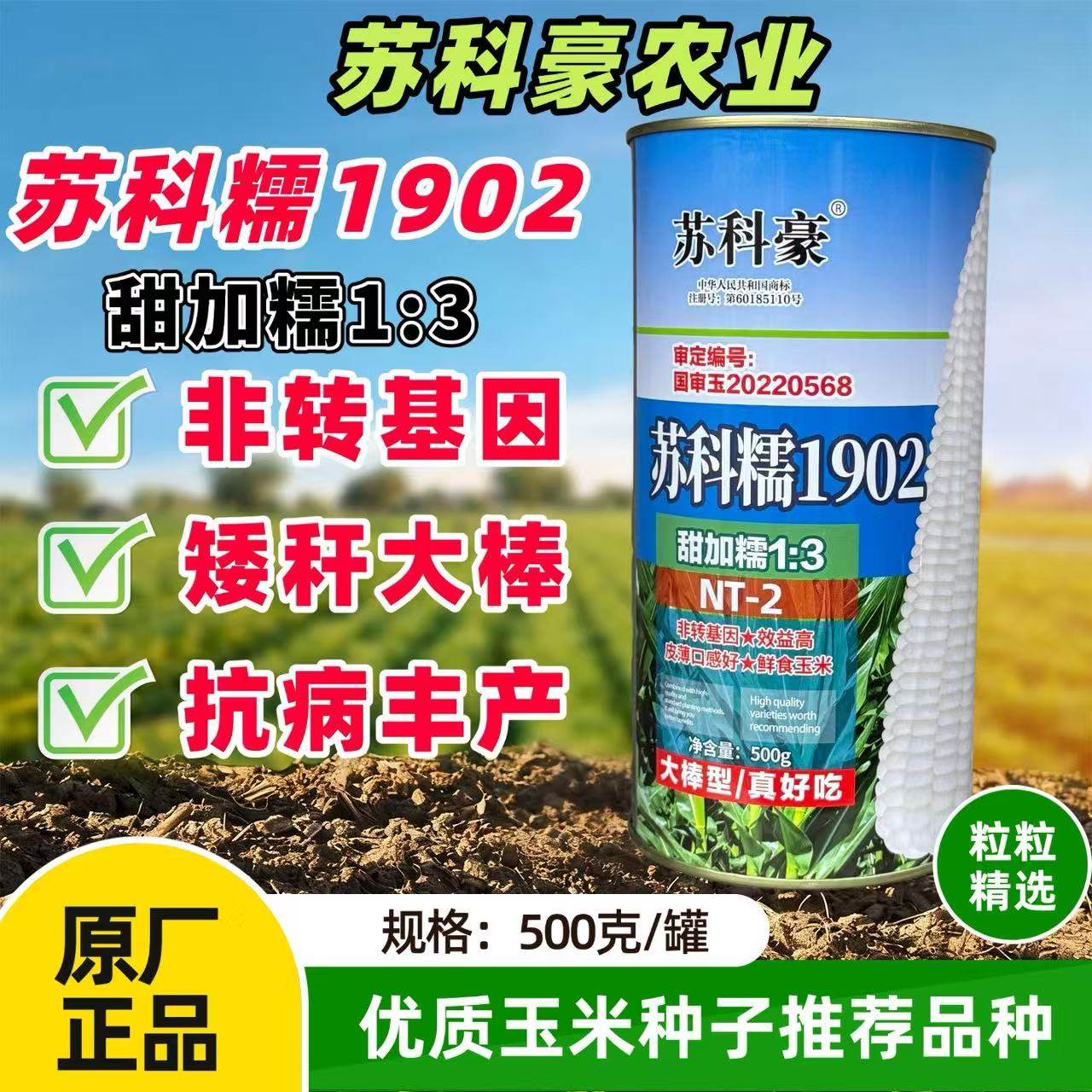 苏科糯1902鲜食玉米种子矮杆早熟大棒耐热高产加甜糯新鲜春季四季