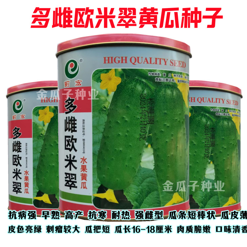 多雌欧米翠黄瓜强雌水果短棒薄皮