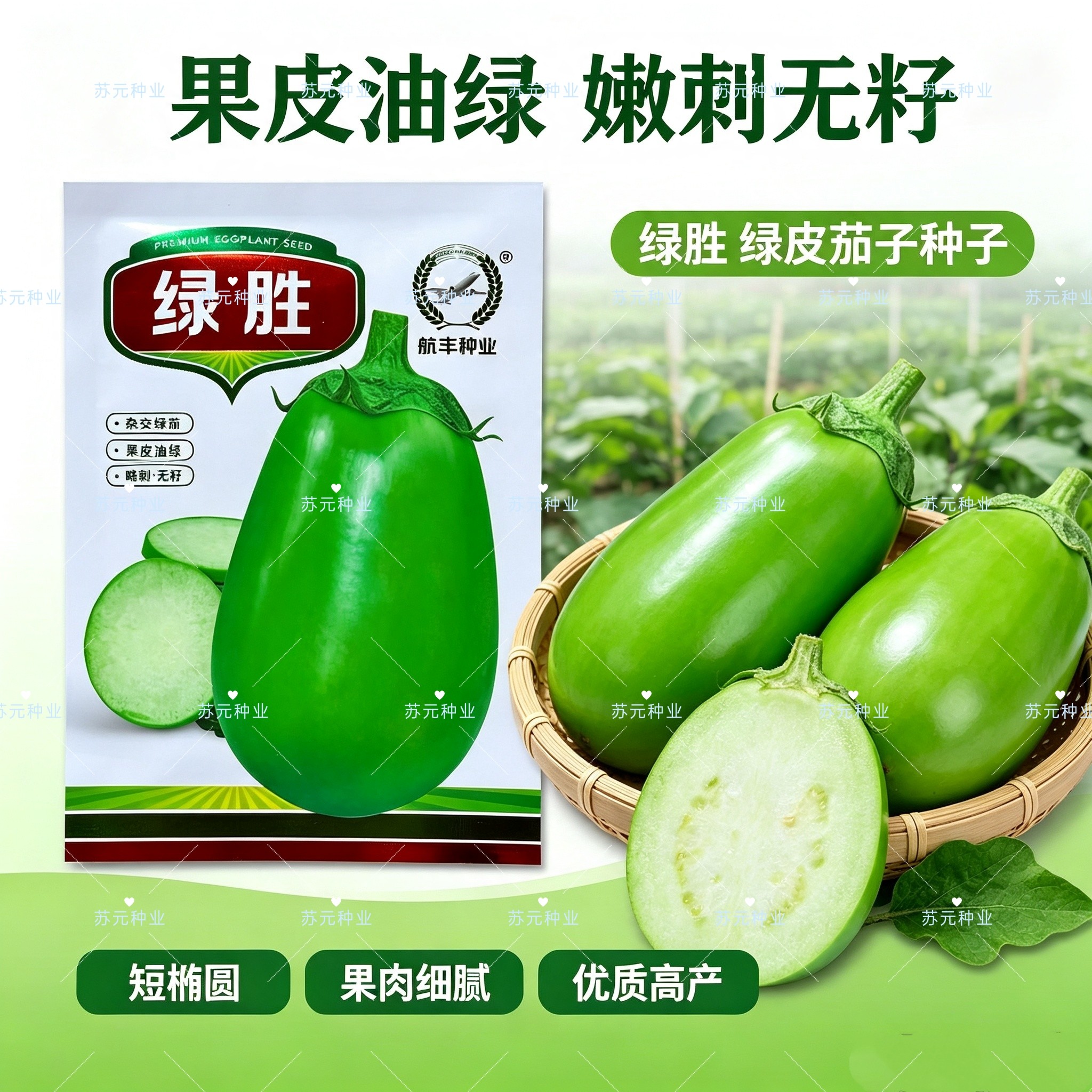 绿胜绿罐茄子种子中熟高产抗病油绿茄子种籽春秋播绿皮茄子蔬菜种