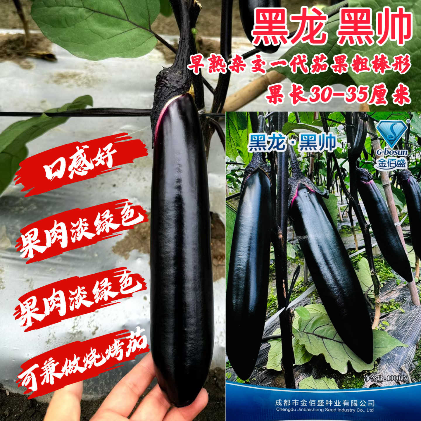 黑龙黑帅茄子种子紫黑粗棒茄肉质细嫩果肉淡绿色可做烧烤茄两用型