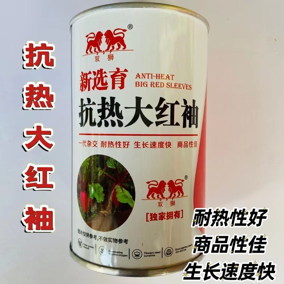 抗热大红袖耐热红皮萝卜种子速生不糠心白肉大根杂交红皮萝卜种子