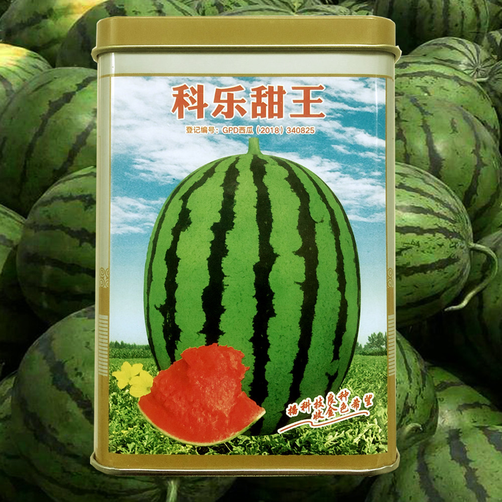 科乐甜王西瓜超甜皮薄脆甜耐裂