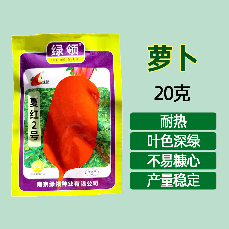 夏季耐热萝卜种子 夏红2号红皮白肉萝卜种籽农家秋播蔬菜种孑