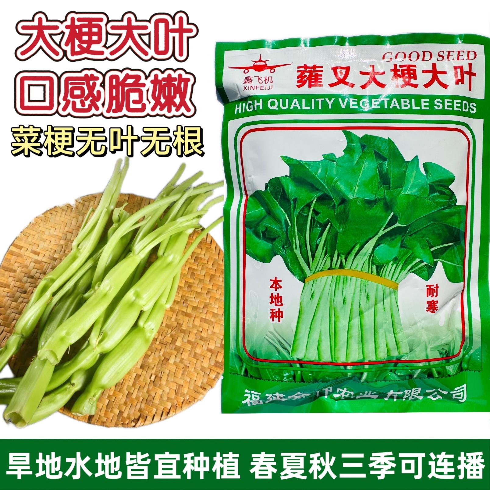 蕹叉大梗大叶空心菜种子脆嫩清甜春夏秋三季蕹菜蔬菜种籽大田基地