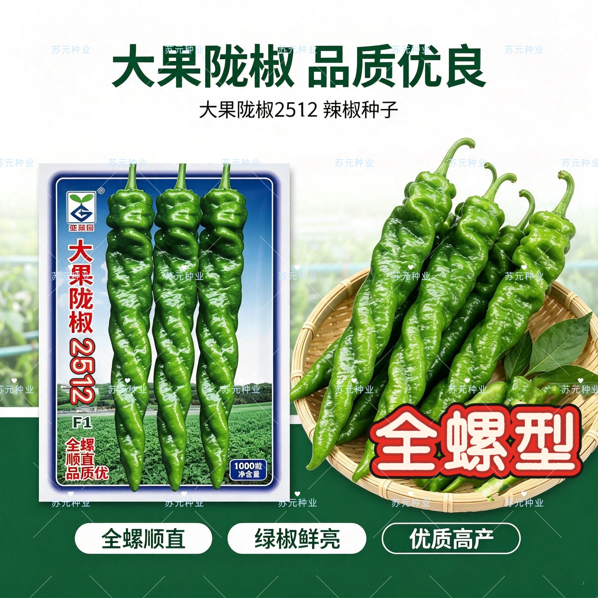 大果陇椒2515全螺型螺丝椒种子早熟抗病高产皮薄肉厚椒条顺直味浓