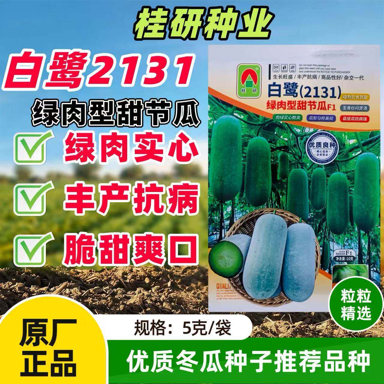 桂研白鹭绿肉型甜节瓜种子圆筒形脆甜冬瓜种籽春秋播种耐储运高产
