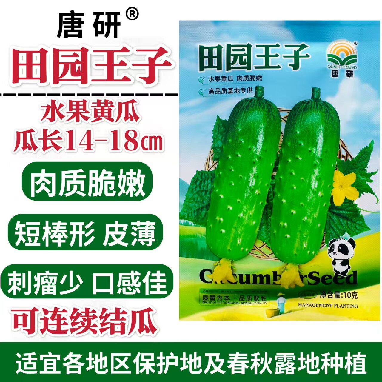 田园王子水果黄瓜种子短棒形皮薄肉质脆嫩刺瘤少口感佳春秋播
