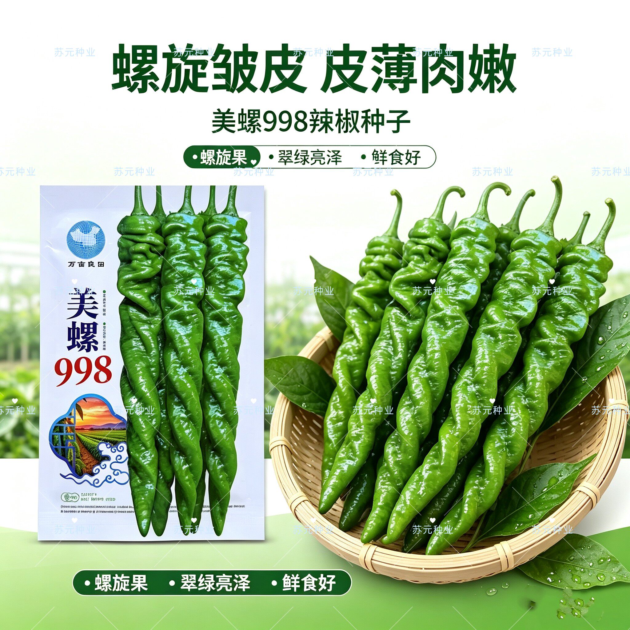 美螺998大果型螺丝椒辣椒种子早中熟高产抗病强味较辣辣椒种籽孑