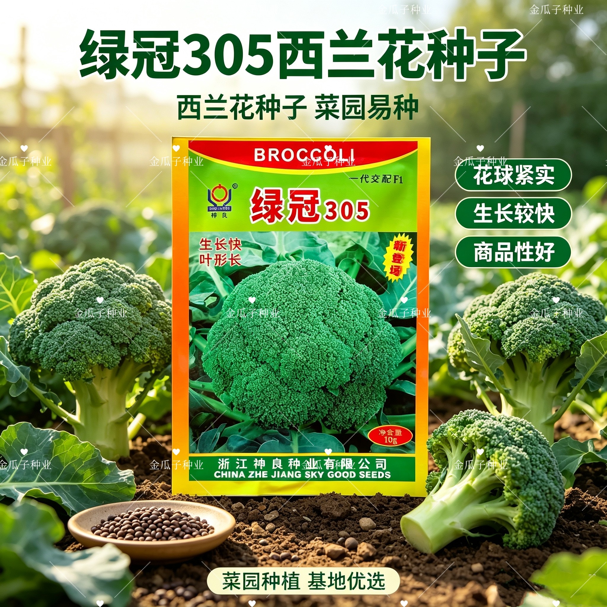 神良绿冠305西兰花种中熟青花菜抗病高产西兰花种子10克原装正品