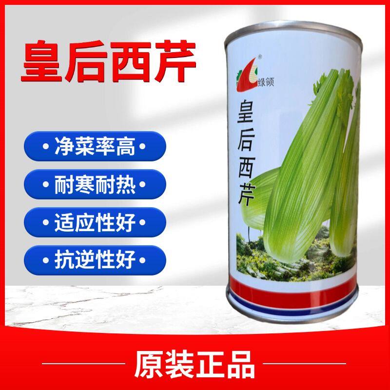 绿领皇后西芹种子法国皇后西芹种子抗病高产好吃好卖皇后芹菜种子