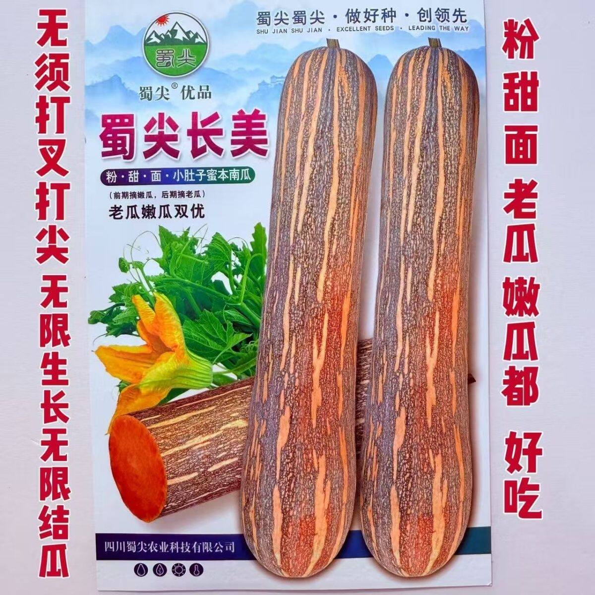 蜀尖靓美蜜本南瓜种子超甜粉面密本南瓜种籽没有大肚子早熟高产孑