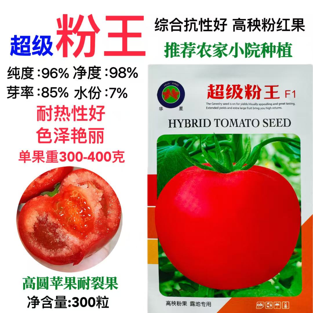 华星超级粉王西红柿种子特大果粉果番茄种籽中早熟厚皮硬果西红柿